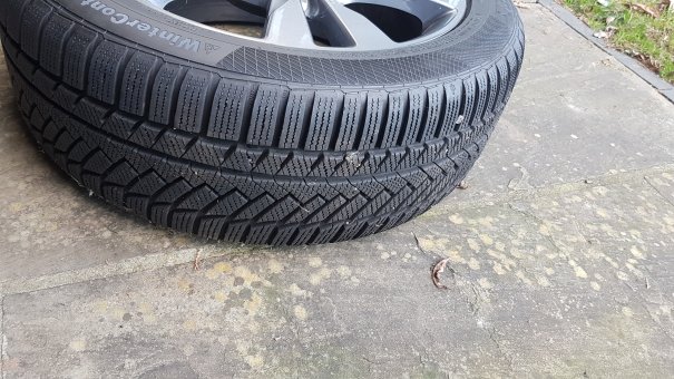 IMG-20220305-WA0004.jpeg