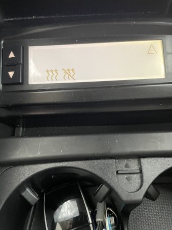 IMG_3337.jpeg IMG_3337.jpeg