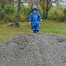 SebastianNorway
